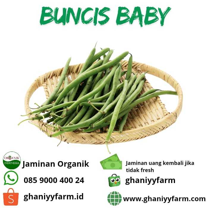 

Sayur Organik Baby Buncis Organik 250 Gram