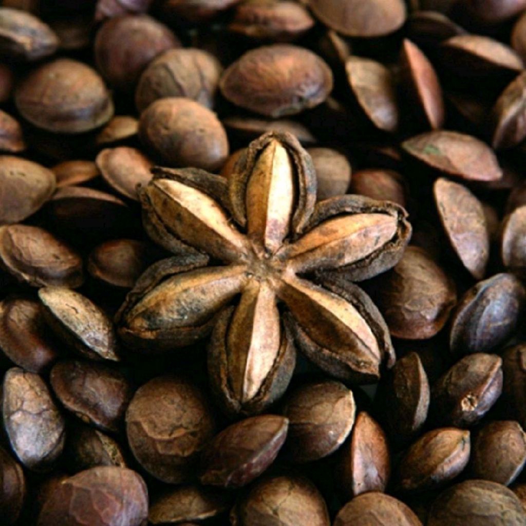 

Biji sahca inchi kering 1kg