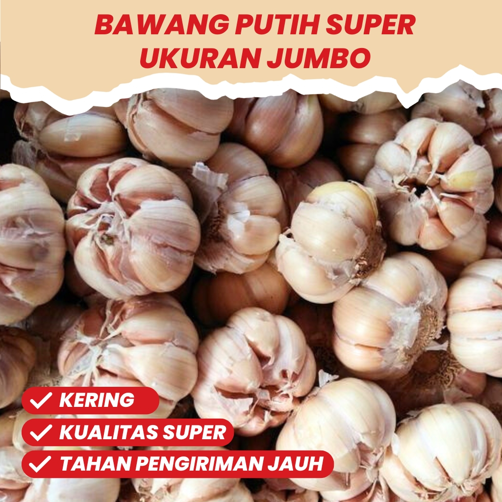 

Bawang Putih Kating 1kg Termurah Promo / Bawang Putih Garlic Segar 500 Gram Mudah di Kupas