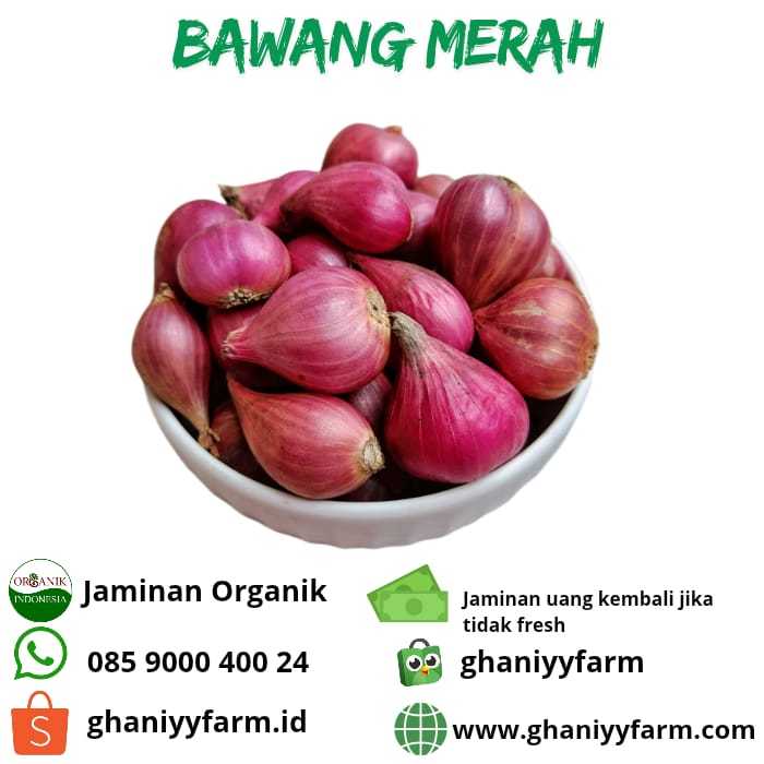 

Bawang Merah Organik 250 Gram