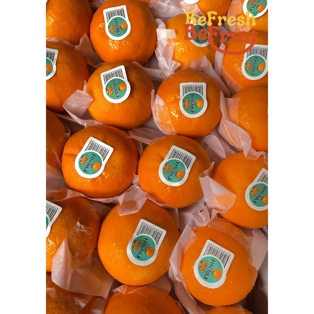 

Jeruk Wogan Premium Segar Fresh & Healthy Manis 1kg