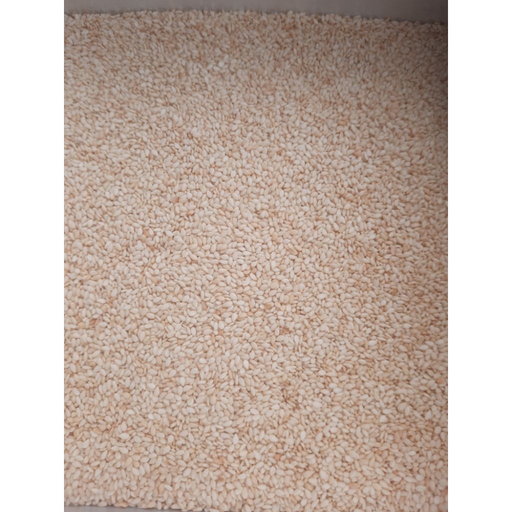 

Wijen Puting Roasted Panggang/Sangrai 500gr wijen putih impor Sesame Seed