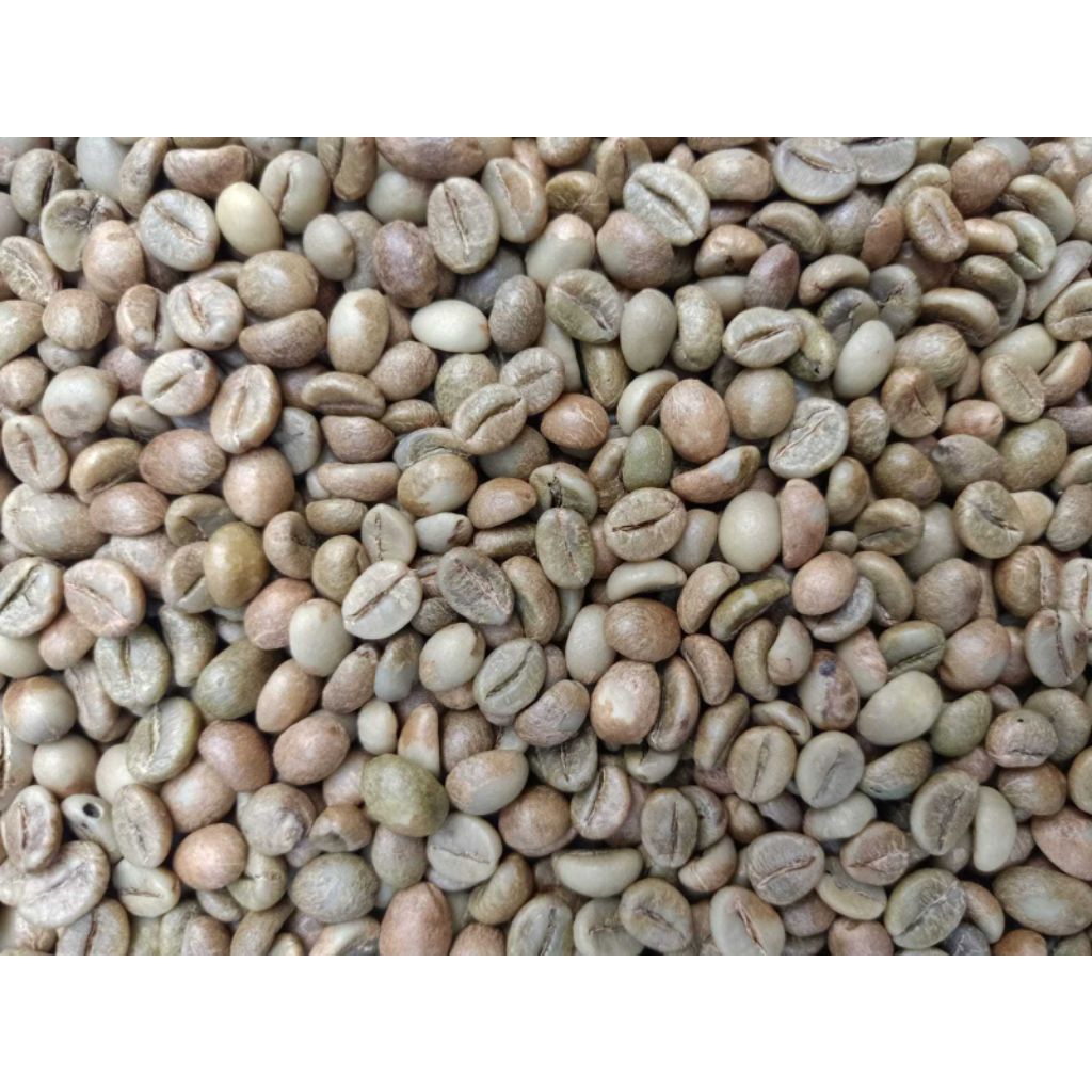 

5kg Biji Kupas Kering/Green Bean Robusta Natural