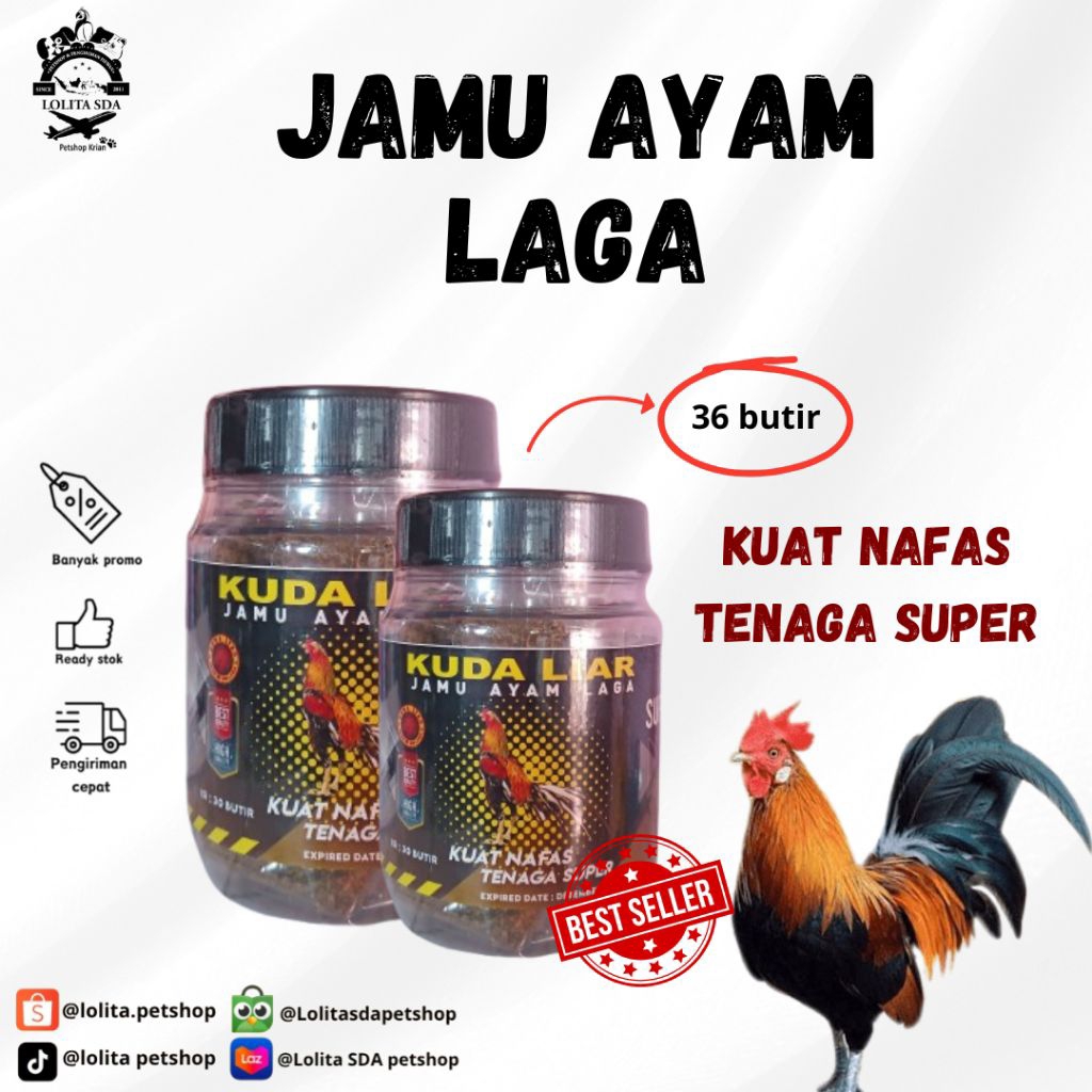Obat Jamu Ayam Aduan Pukul Keras Biar Mental Full Kuat Nafas Dan Tenaga Plus Dopping