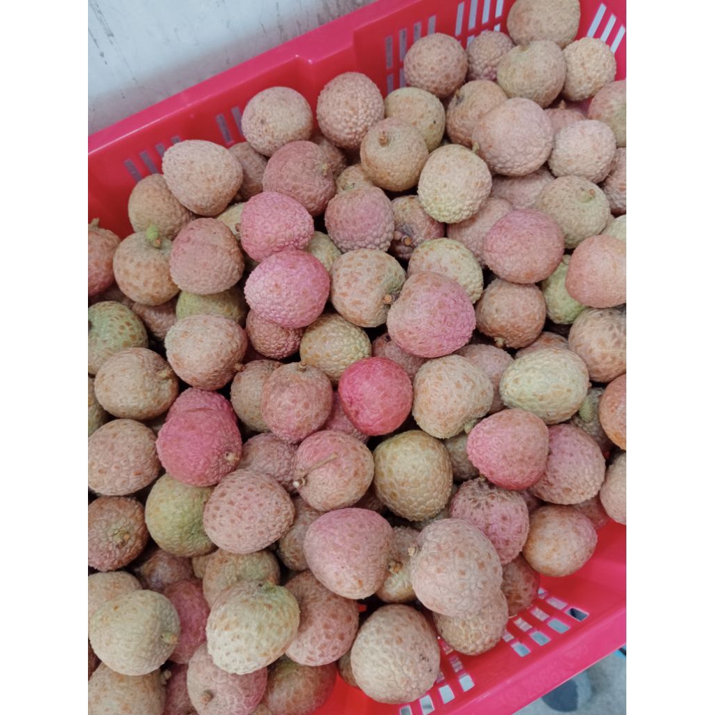 

Buah Leci (hanya wilayah Jatim saja)baca deskripsi produk