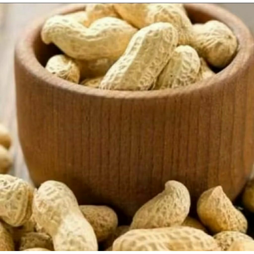 

Kacang Kulit Asin Renyah 250gr–1Kg | Kacang Kulit Kering Gurih | Camilan Tradisional Favorit