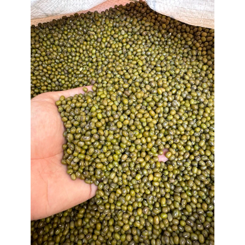 

Kacang Ijo Bubur 1KG / 250GR/500GR/Kacang Ijo
