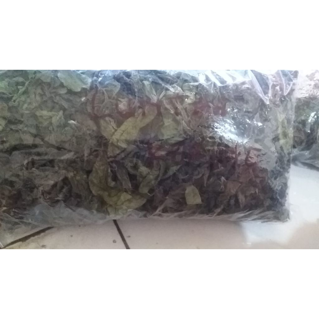

Daun Beluntas kering 50 gram
