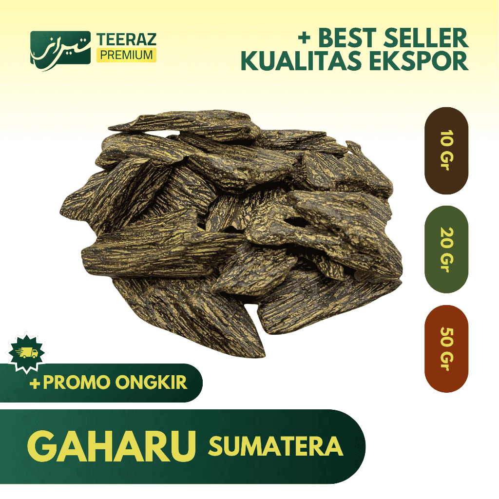 Kayu Gaharu Sumatera By Teeraz | Buhur Sanai Gaharu Asli Tahan Lama | Sanai Muhassan Gaharu Sumatera