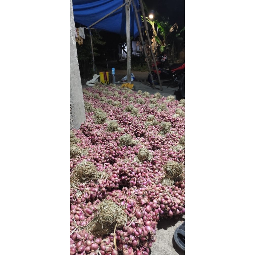 

BAWANG MERAH ASLI NGANJUK