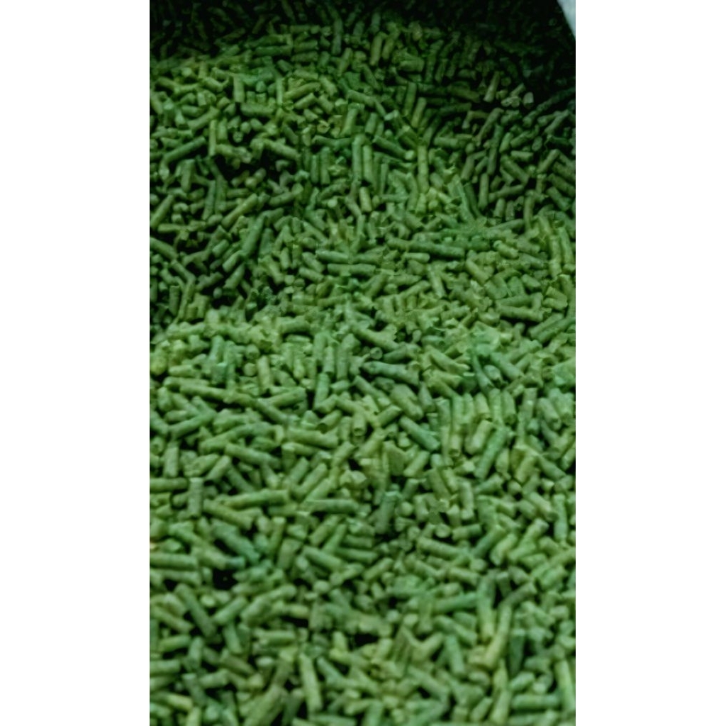 VOER/PUR HIJAU PAKAN BURUNG BERKICAU KEMASAN KILOAN