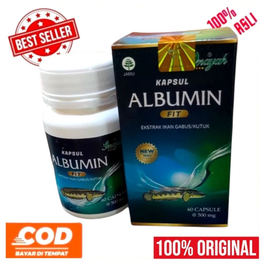 Albumin Fit Inayah kapsul ekstra ikan gabus Original