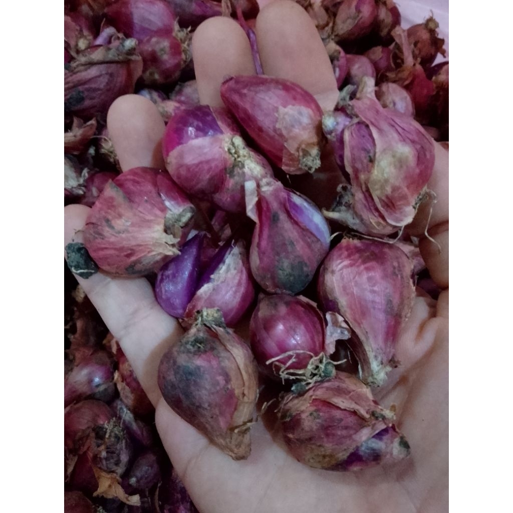 

Bawang merah Brebes 1kg