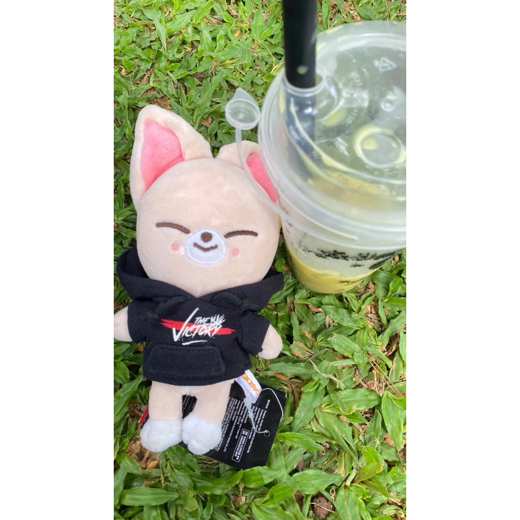 SKZOO FOXINY (CEK DESK)