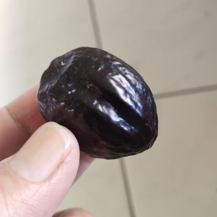 Kemiri Adu Muncang Adu 4G Ori Rel Urat Dua Matang