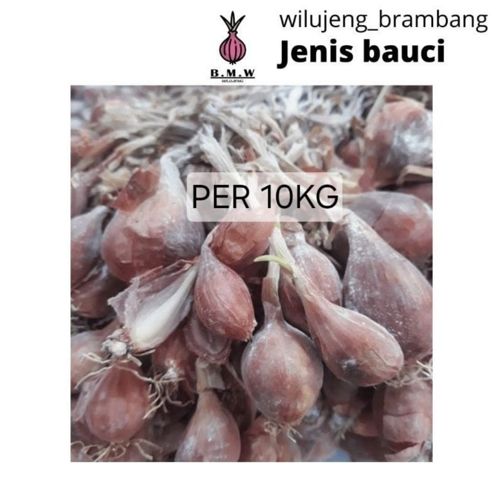 

[PER 10KG] BAWANG MERAH BAUCI SIAP TANAM