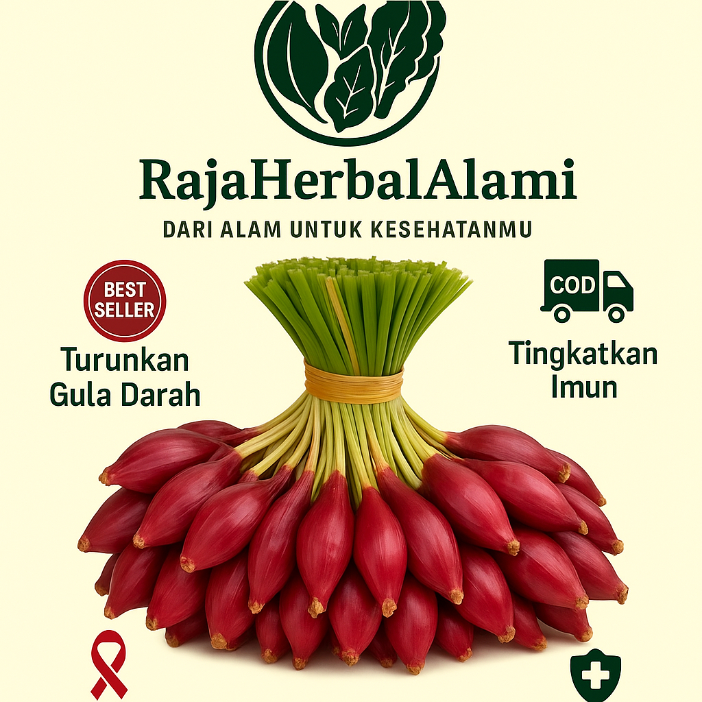 

Bawang Dayak Segar – Herbal Alami Penurun Kolesterol & Gula Darah | COD