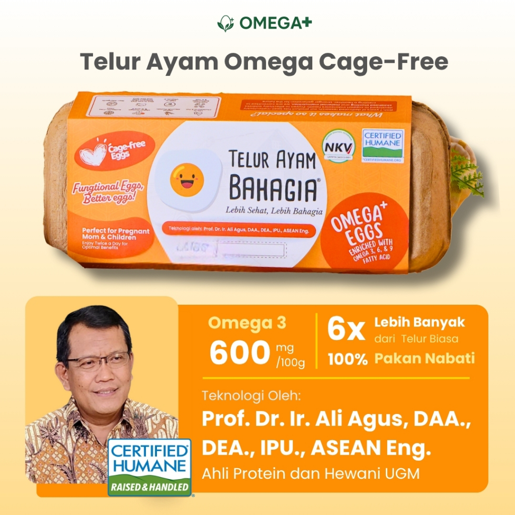 

Telur Ayam Omega Free Range / Cage Free, Telur Ayam Bahagia, Tinggi Omega 3,6,9 - Pack 10