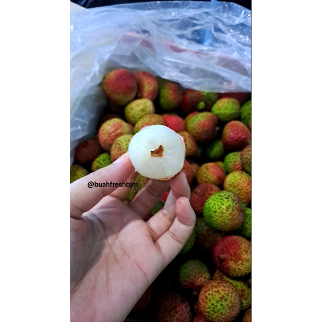 

[BUAH FRESH BJM] Ready!! Buah Leci madu fresh ukuran jumbo