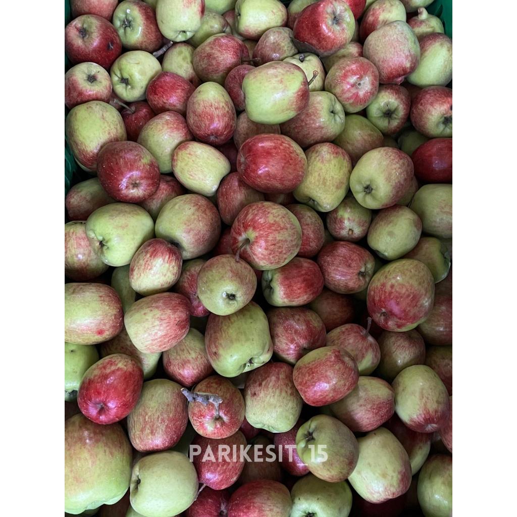 Apel Ana Batu Malang 1kg (isi 15 - 18 buah)