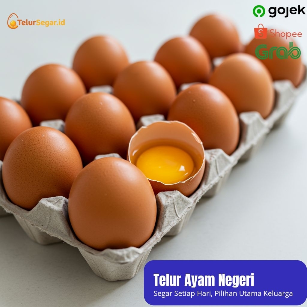 

Telur Ayam Negeri harga per kilo (pre order) max 2 hari