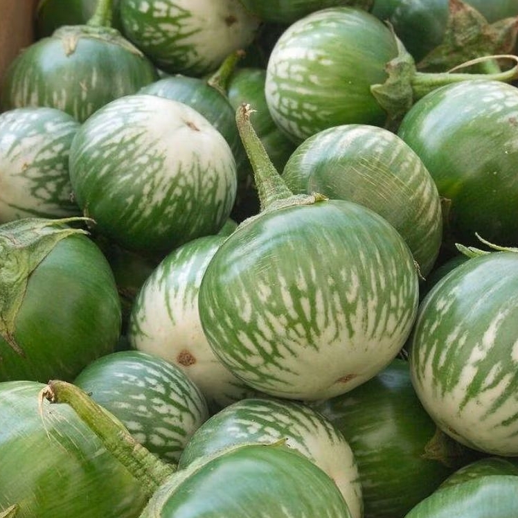 

INSTAN KOTA JAMBI Terong Bulat Kampung 250gr