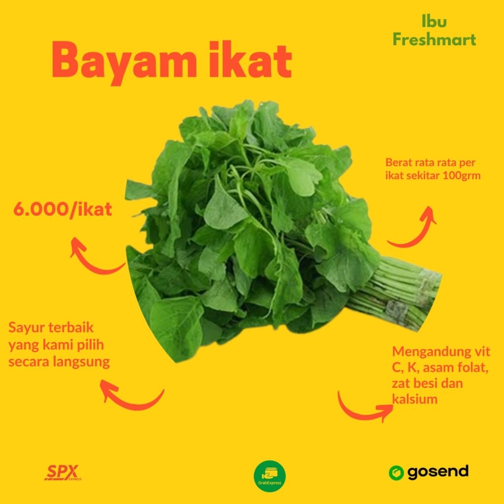 

BAYAM SEGAR IKAT
