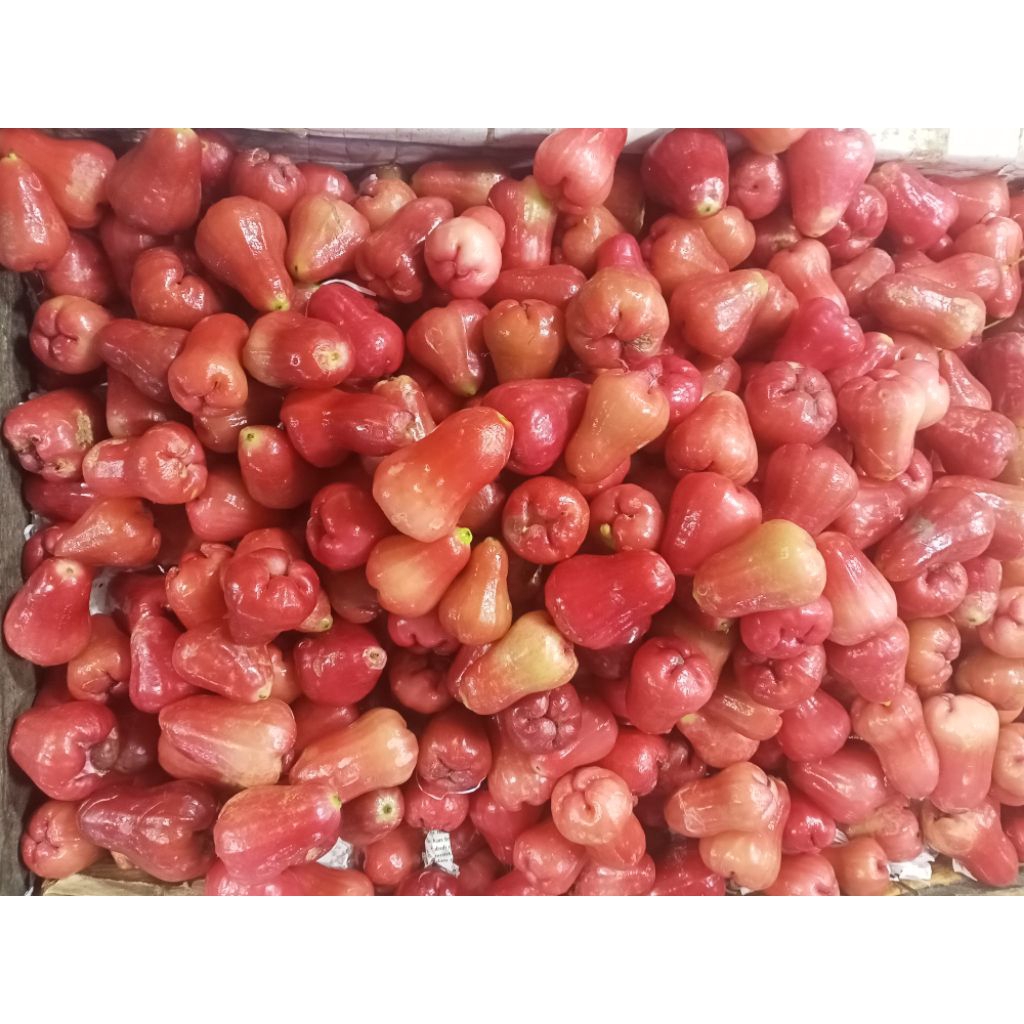 

jambu merah