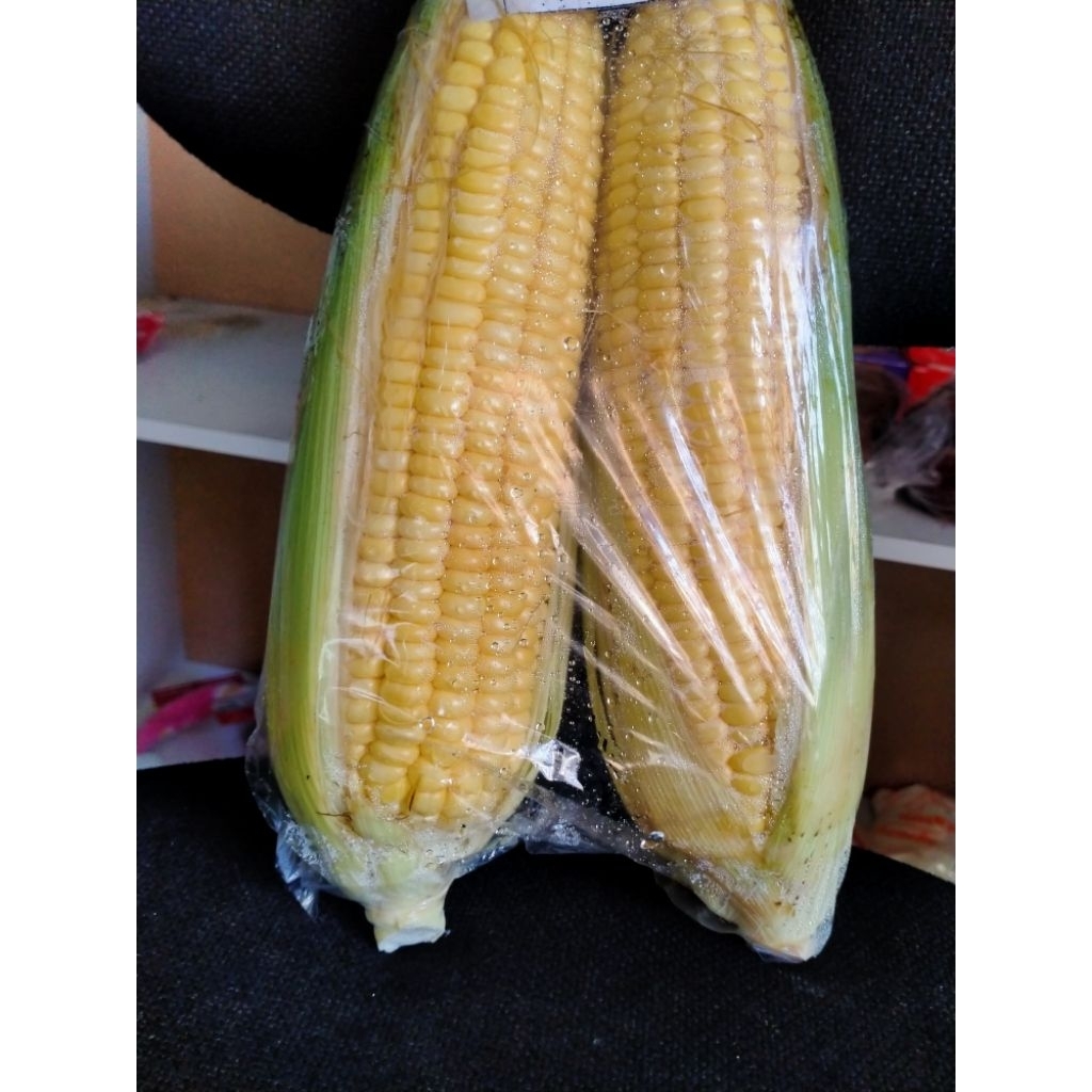 

jagung manis isi 2