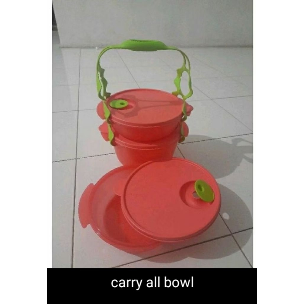 Rantang carry All bowl Guava Tupperware
