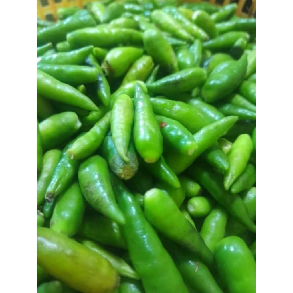 

cabe rawit ijo petik 250gr