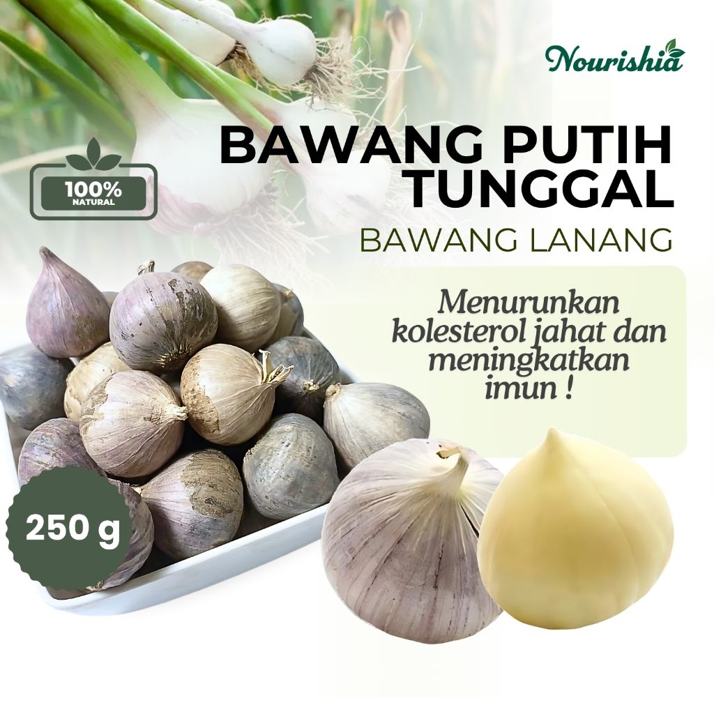

Bawang Putih Tunggal 250gr Bawang Lanang - Single Cloves Garlic