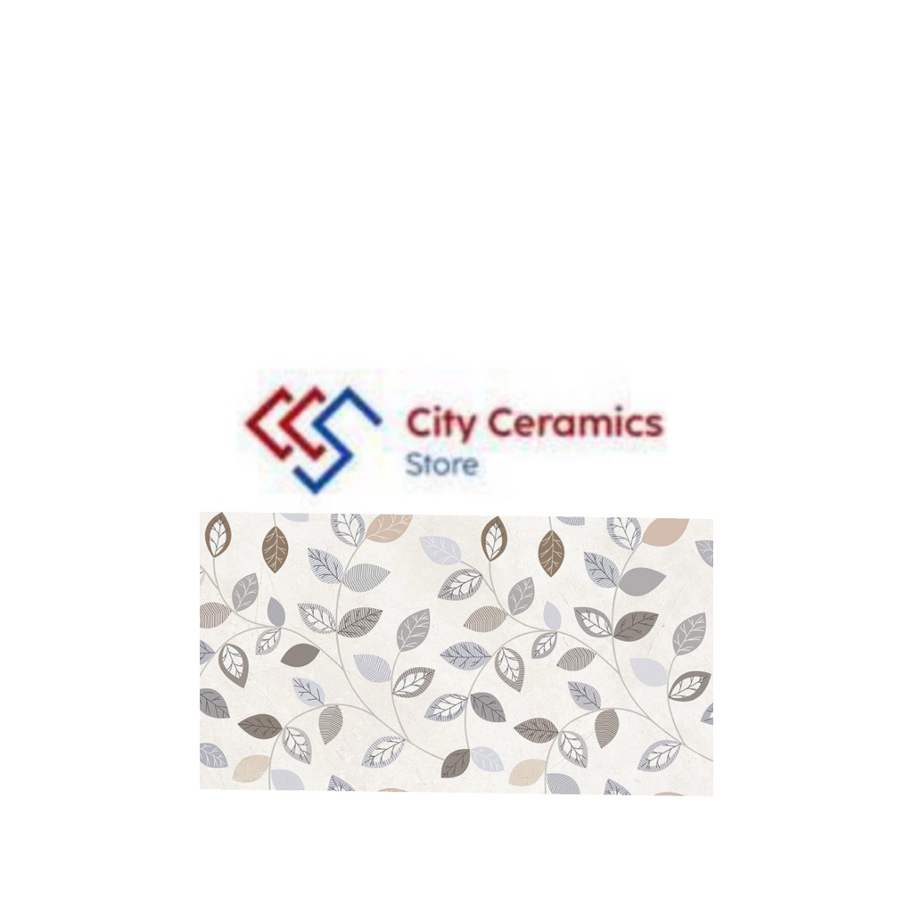 ROMAN DPINOSO FOGLIA 30x60