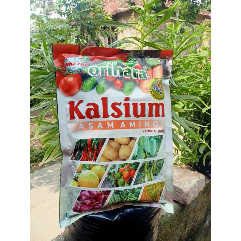 KALSIUM ORIHARA Asam Amino