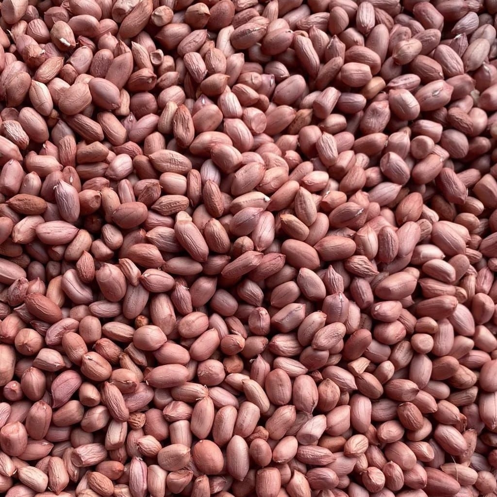

Kacang Tanah 1kg murah