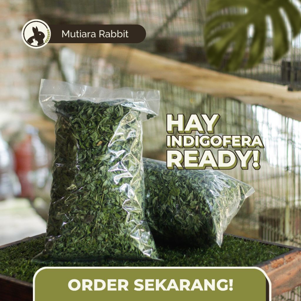 Pakan Hay Indigofera Pakan Ternak Pakan Kelinci Berat 200 Gram