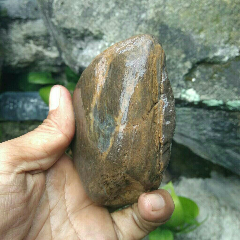 Rough Batu Fosil Kayu Natural Asli Bahan Batu Akik Motif Serat Urat Kelor