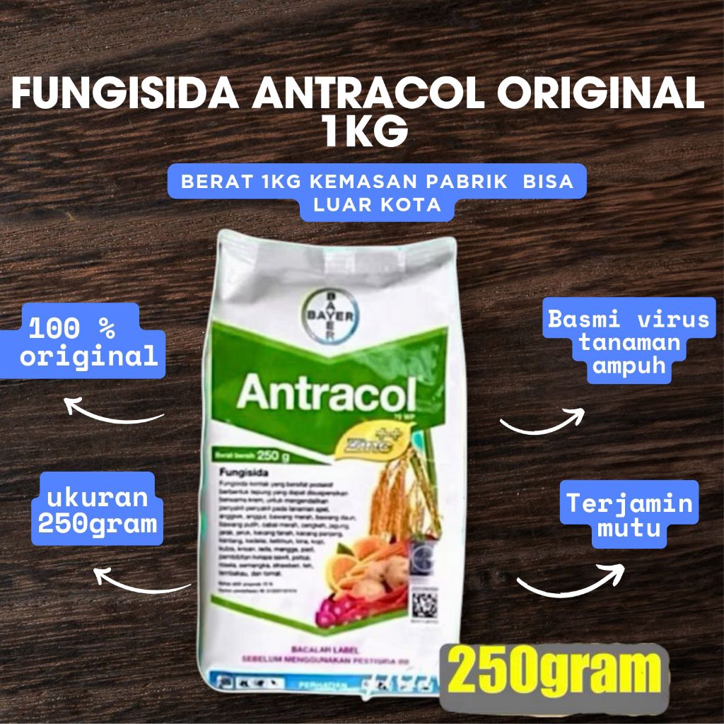 Antracol Fungisida 250 gram Fungisida Sistemik Zinc Obat Anti Busuk Jamur Tanaman Kemasan Asli Pabri