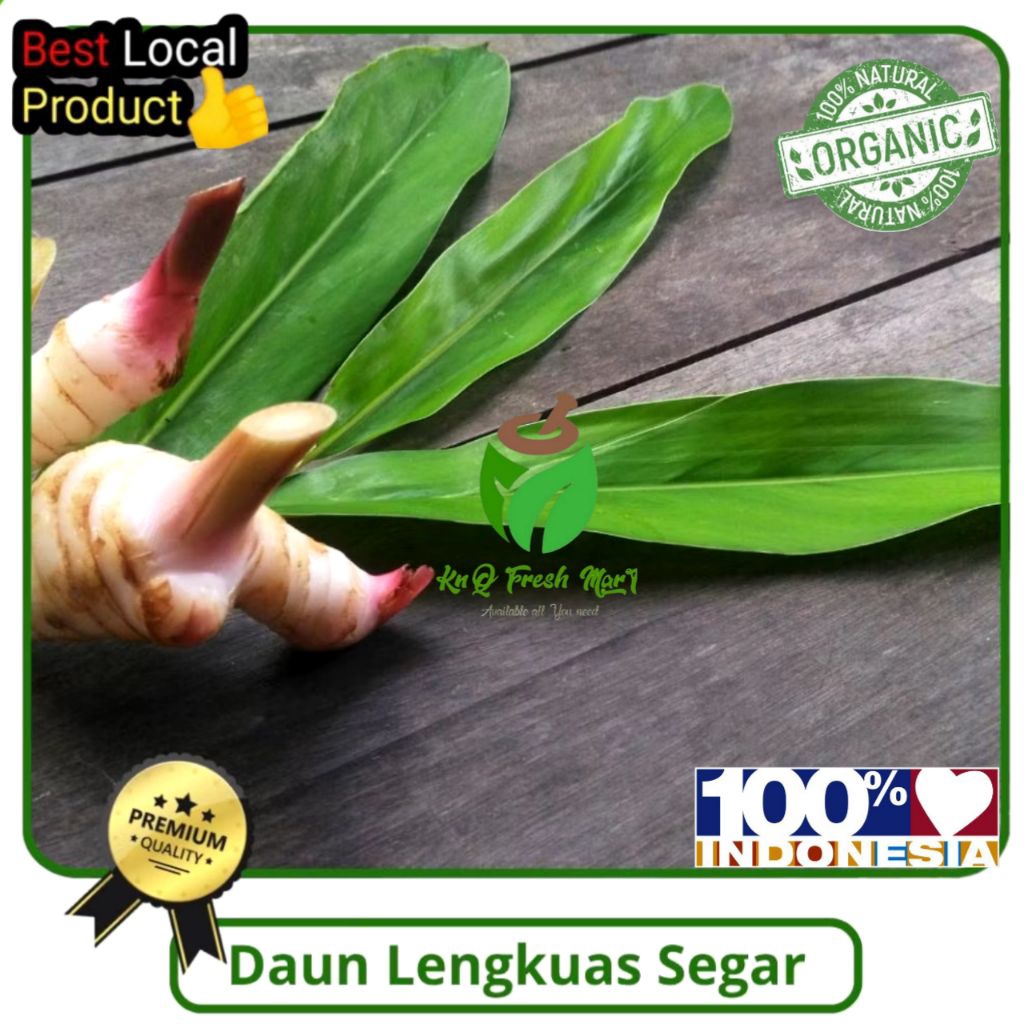 

Daun lengkuas asli segar 1kg daun laja daun laos