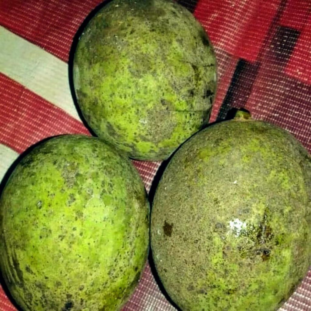 

buah bacang, buah limus,buah pakel 1kg, buah asam hambawang,buah macang atau buah machang