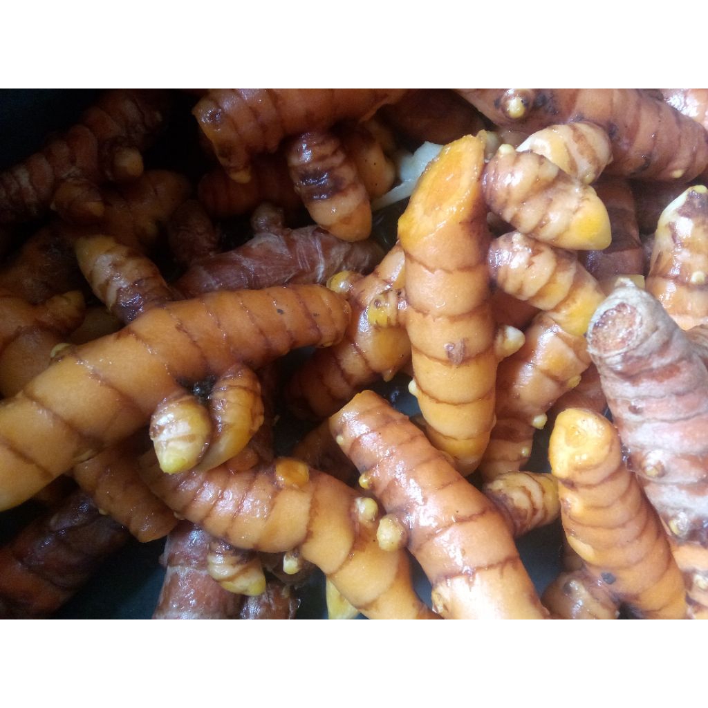 

kunyit/koneng segar dadakan 1 kg