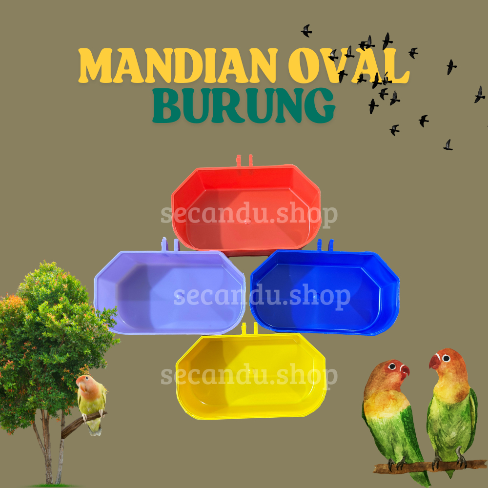 Mandian burung oval burung cepuk mandian mika mandian burung warna