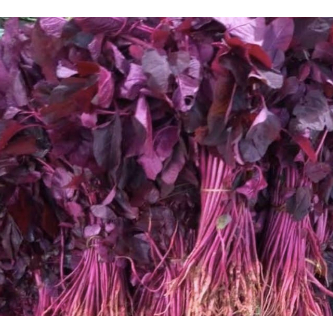 

Bayam Merah Segar Medan Daily Market