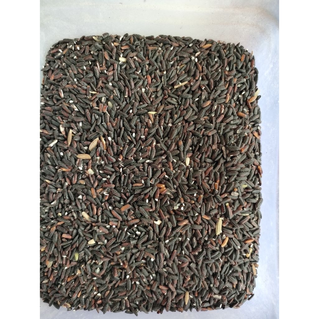 

Ketan hitam mentah premium