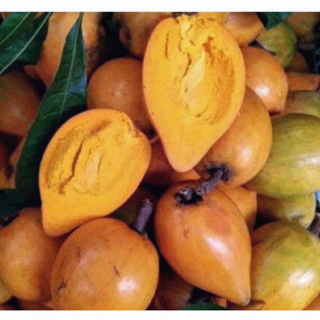 

buah alkesah/sawo mentega 500 gram