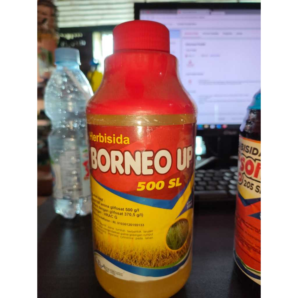 BORNEO UP 500SL 1 LITER