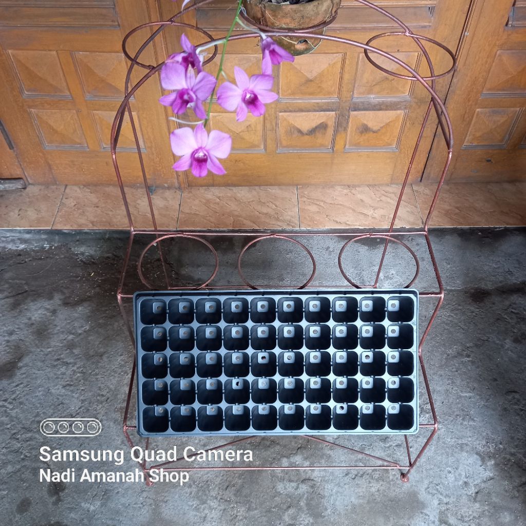 Pot Tray Semai Tanaman Dan Anggrek 50 Lubang