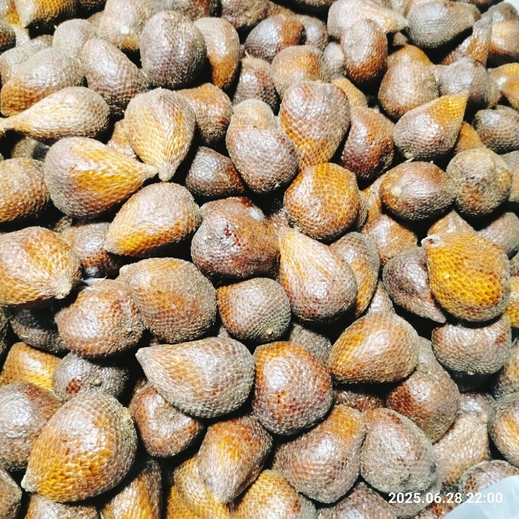 

Salak Pondoh