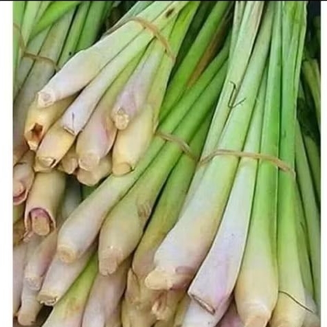 

serai dapur pres bersih,500 gr