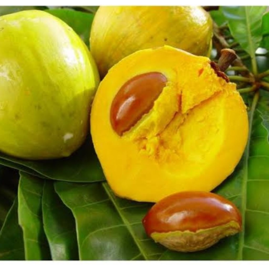 

Buah sawo belanda segar alkesah 500 Gram manis